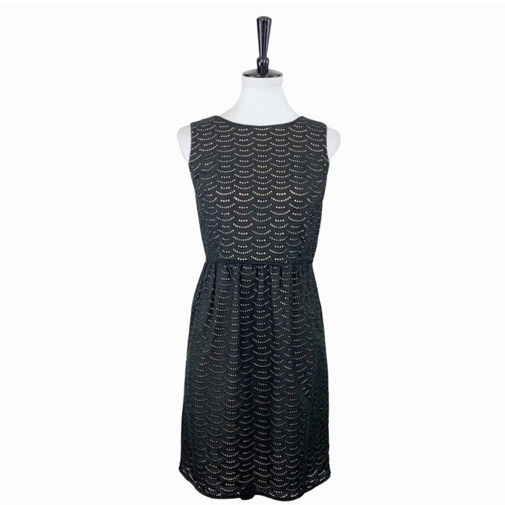 LOFT • Black Scallop Illusion Eyelet/Lace Dress • 6